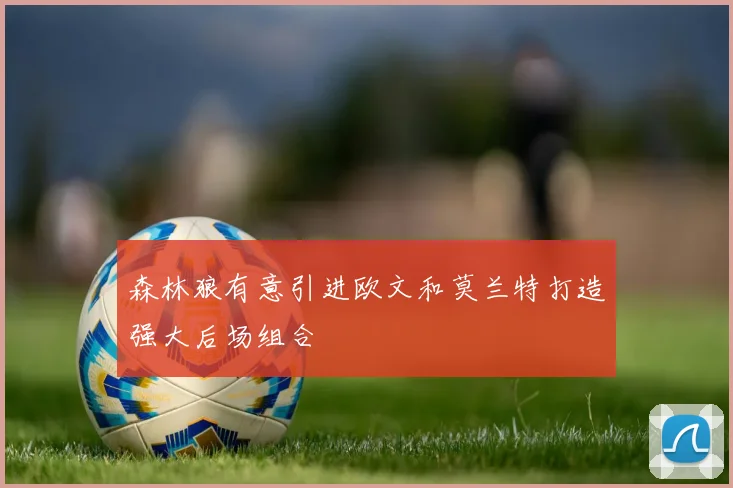 森林狼有意引进欧文和莫兰特打造强大后场组合