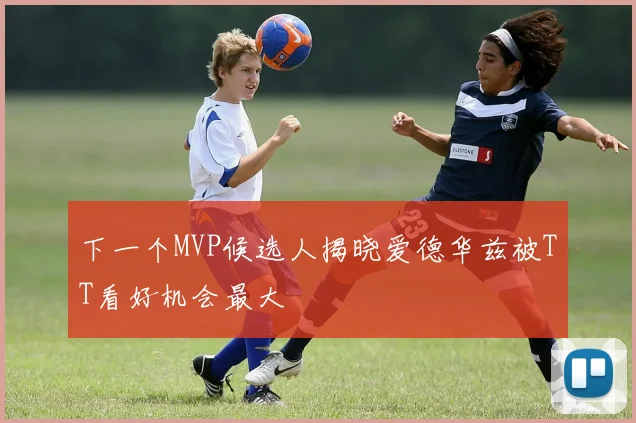 下一个MVP候选人揭晓爱德华兹被TT看好机会最大